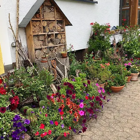 Haus Schwarzwaldblick Апартаменты