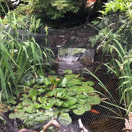 Haus Schwarzwaldblick Apartment Achern