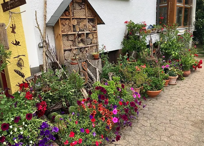 Haus Schwarzwaldblick Daire