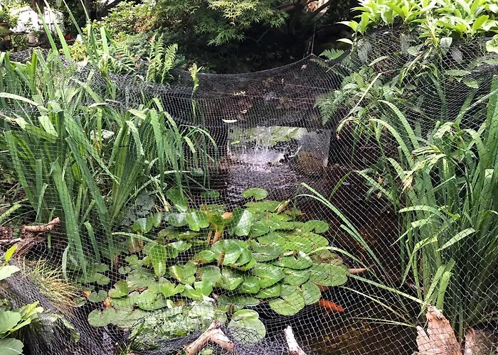 Haus Schwarzwaldblick Апартаменты Ахерн