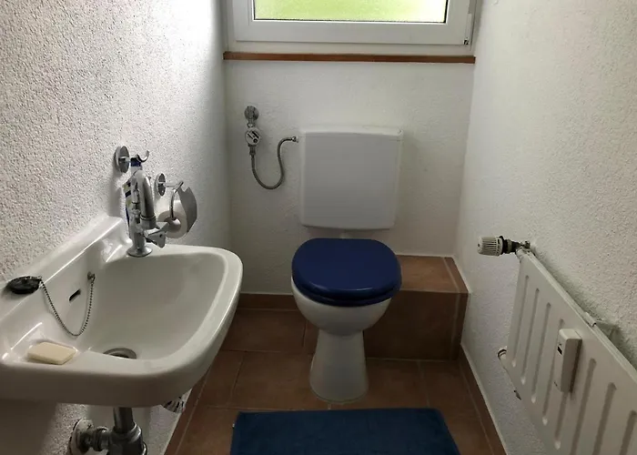 Haus Schwarzwaldblick Daire *